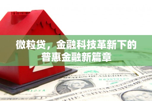林芝微粒贷，金融科技革新下的普惠金融新篇章