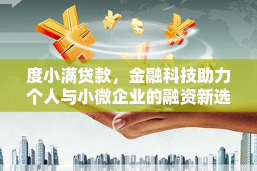 林芝度小满贷款，金融科技助力个人与小微企业的融资新选择