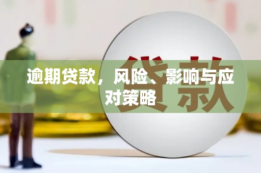 林芝逾期贷款，风险、影响与应对策略