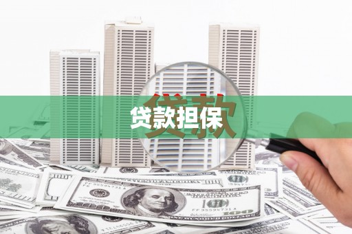 林芝贷款担保