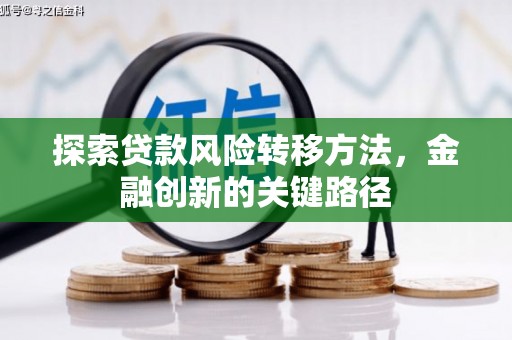 林芝探索贷款风险转移方法，金融创新的关键路径