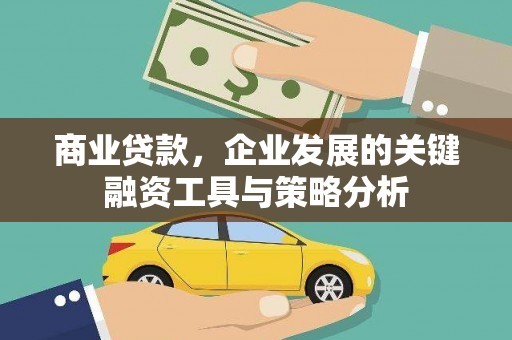 林芝商业贷款，企业发展的关键融资工具与策略分析
