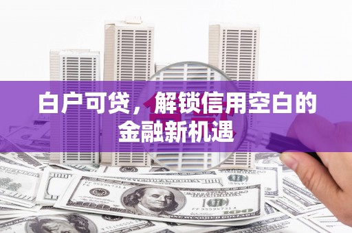 林芝白户可贷，解锁信用空白的金融新机遇