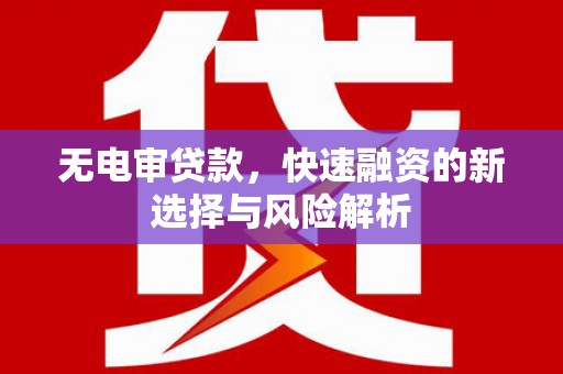 林芝无电审贷款，快速融资的新选择与风险解析