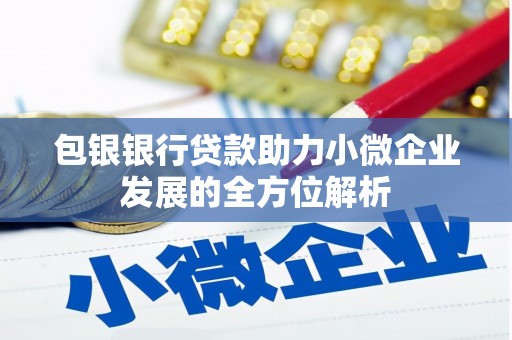 林芝包银银行贷款助力小微企业发展的全方位解析