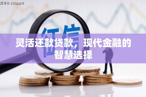 林芝灵活还款贷款，现代金融的智慧选择