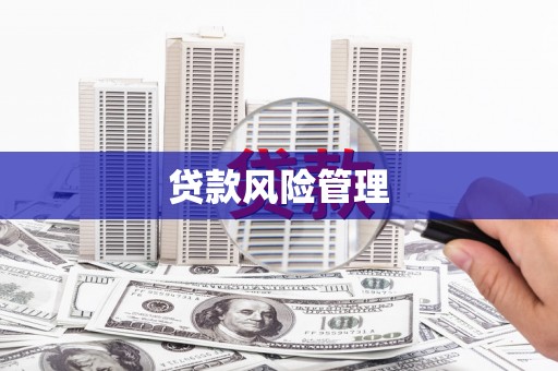 林芝贷款风险管理