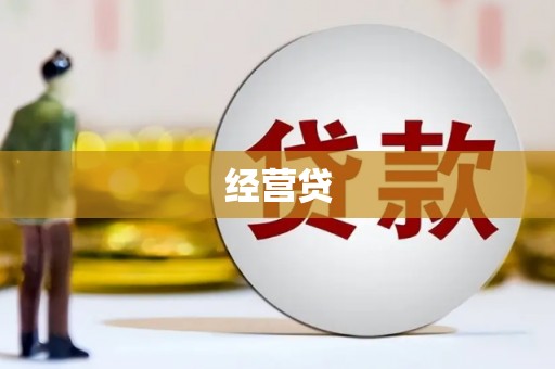林芝经营贷