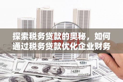 林芝探索税务贷款的奥秘，如何通过税务贷款优化企业财务