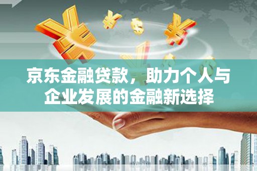 林芝京东金融贷款，助力个人与企业发展的金融新选择
