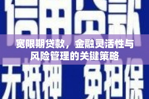 林芝宽限期贷款，金融灵活性与风险管理的关键策略
