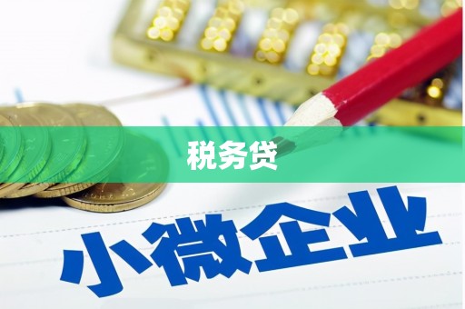 林芝税务贷