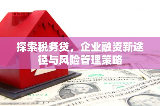 林芝探索税务贷，企业融资新途径与风险管理策略