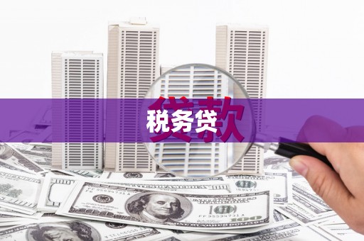 林芝税务贷