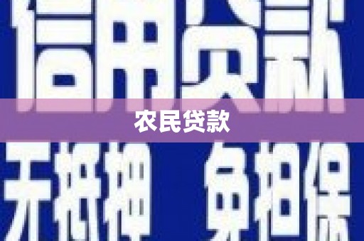 林芝农民贷款