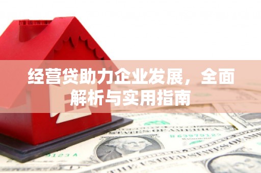 林芝经营贷助力企业发展，全面解析与实用指南