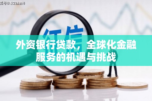林芝外资银行贷款，全球化金融服务的机遇与挑战
