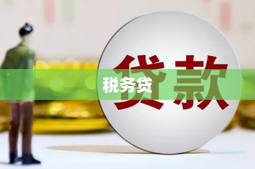 林芝税务贷