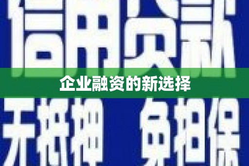 林芝企业融资的新选择