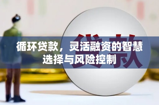 林芝循环贷款，灵活融资的智慧选择与风险控制