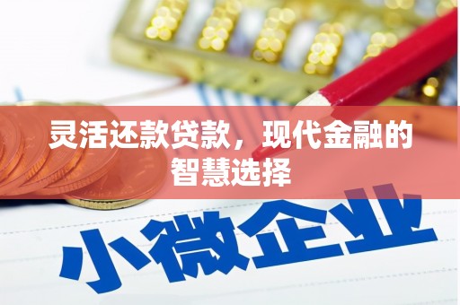 林芝灵活还款贷款，现代金融的智慧选择