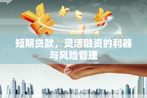 林芝短期贷款，灵活融资的利器与风险管理