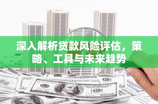 林芝深入解析贷款风险评估，策略、工具与未来趋势