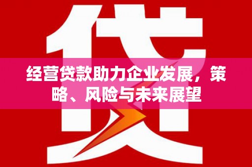 林芝经营贷款助力企业发展，策略、风险与未来展望