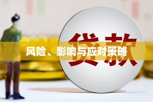 林芝风险、影响与应对策略