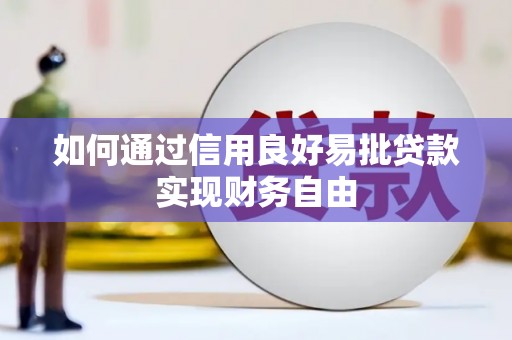 林芝如何通过信用良好易批贷款实现财务自由