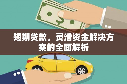 林芝短期贷款，灵活资金解决方案的全面解析
