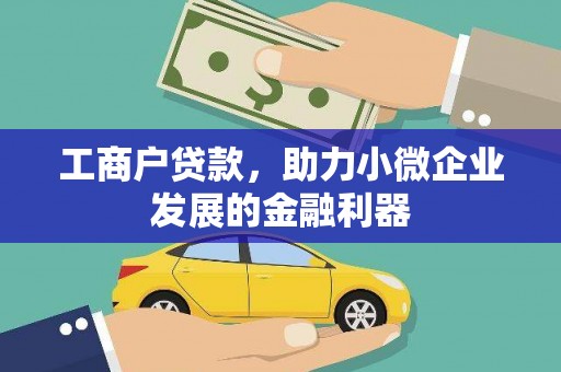 林芝工商户贷款，助力小微企业发展的金融利器