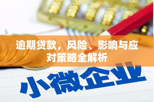 林芝逾期贷款，风险、影响与应对策略全解析