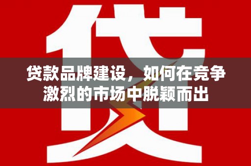 林芝贷款品牌建设，如何在竞争激烈的市场中脱颖而出