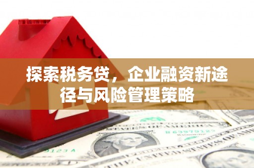 林芝探索税务贷，企业融资新途径与风险管理策略