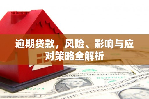 林芝逾期贷款，风险、影响与应对策略全解析