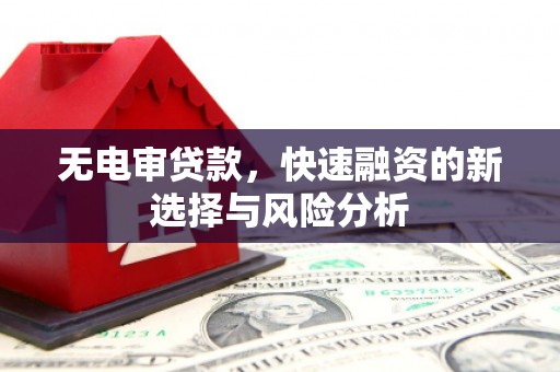 林芝无电审贷款，快速融资的新选择与风险分析