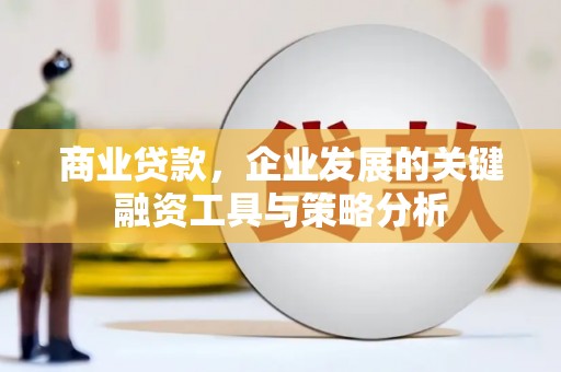 林芝商业贷款，企业发展的关键融资工具与策略分析
