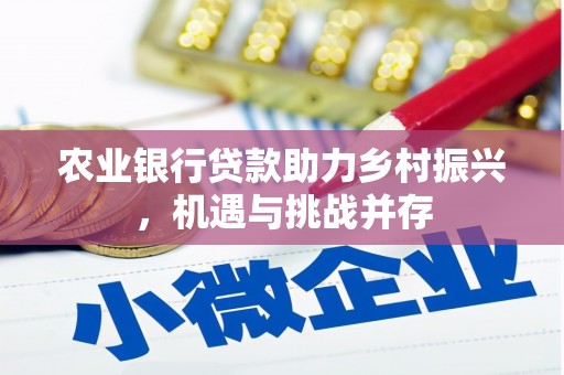 林芝农业银行贷款助力乡村振兴，机遇与挑战并存