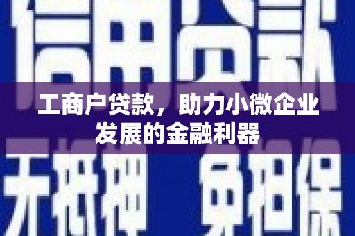 林芝工商户贷款，助力小微企业发展的金融利器