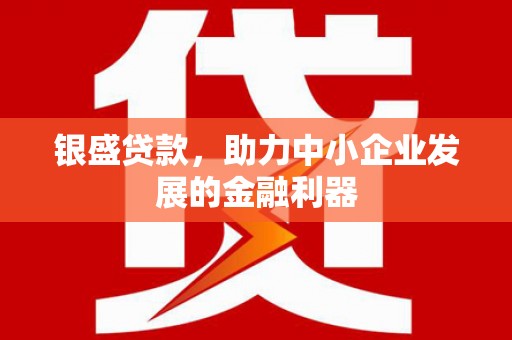 林芝银盛贷款，助力中小企业发展的金融利器