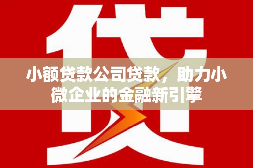 林芝小额贷款公司贷款，助力小微企业的金融新引擎