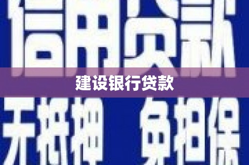 林芝建设银行贷款