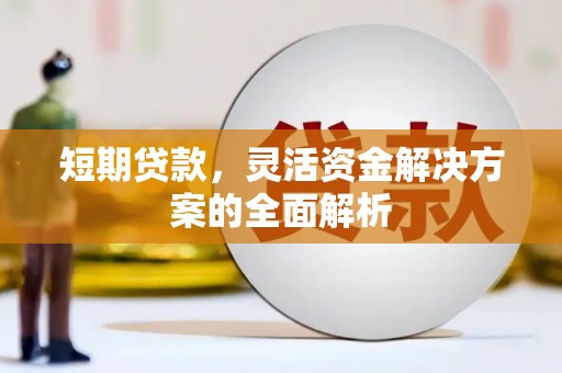 林芝短期贷款，灵活资金解决方案的全面解析