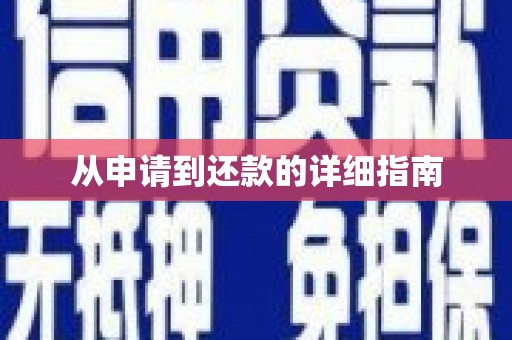 林芝从申请到还款的详细指南