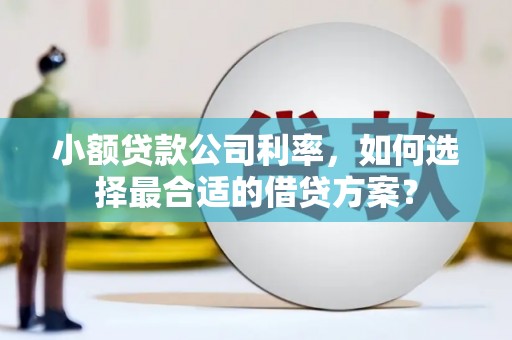 林芝小额贷款公司利率，如何选择最合适的借贷方案？