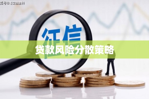 林芝贷款风险分散策略