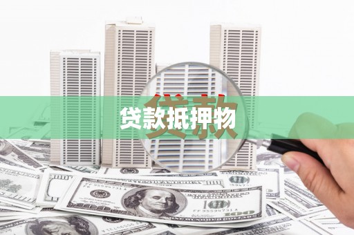 林芝贷款抵押物