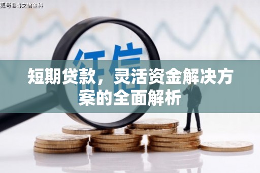 林芝短期贷款，灵活资金解决方案的全面解析