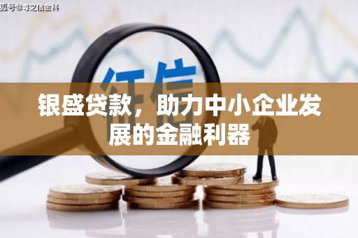 林芝银盛贷款，助力中小企业发展的金融利器